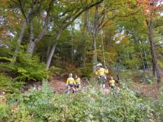 Sortie des feuilles mortes